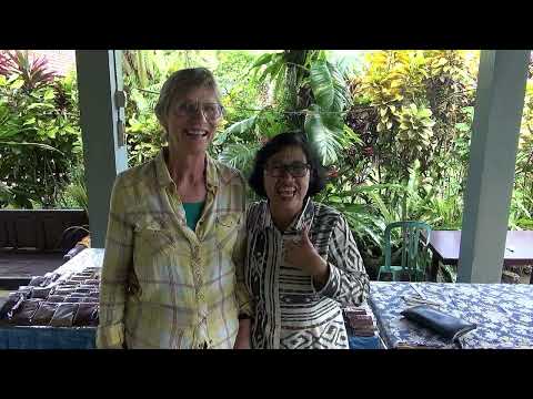 Java 8 - Kalibaru - Ibu Harni's Plantage