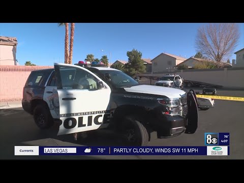 Passenger killed in Tesla crash on Saturday identified as 30-year-old Las Vegas man