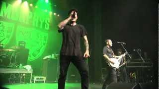 Dropkick Murphys - The Irish Rover (Live in Sydney) | Moshcam