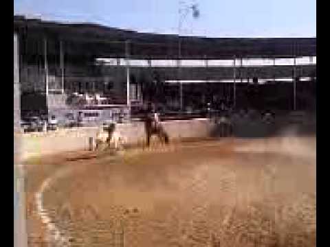 Ganador de jineteo de yegua en Houston