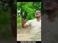 Hoshangabad Wali O Mobile Wali Tora Number To De De Mobile Gondi Song Hemraj