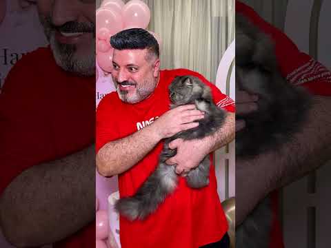 The ending is terrifying 😯 #funny #Sigma