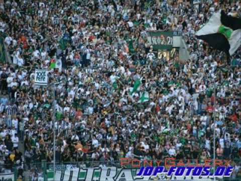 Für immer mein VFL!