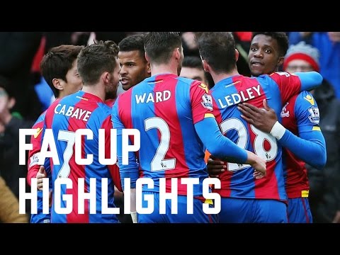 Crystal Palace 1-0 Stoke City