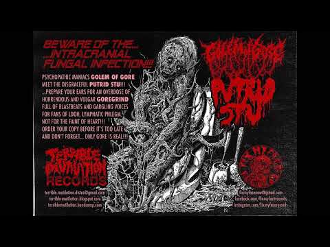 PUTRID STU - split with Golem of Gore (2019)
