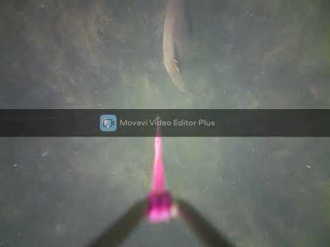 Ian hobbs Carp Angling Underwater camera with Tench on the spot