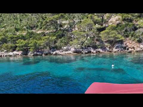 M/Y Vilma Sommer 2023 - bester Badespot