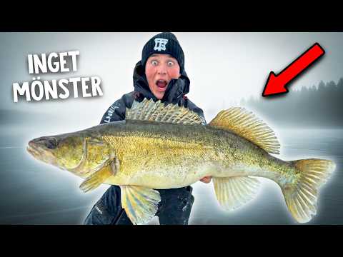 The Hunt for the DREAM ZANDER – Our Toughest Challenge Yet