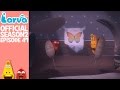Official Cocoon Larva Season 2 Episode 47