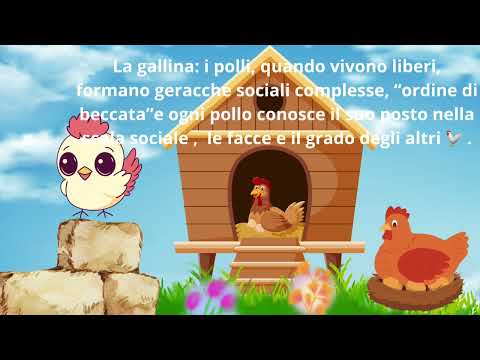 La mia fattoria Eva Caterina e Sara.