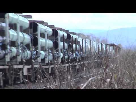 QR National / Aurizon Pipe train at Rosewood.