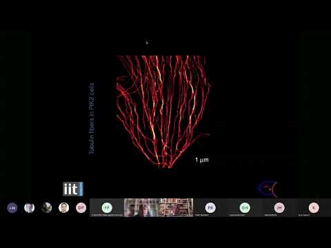 Alberto Diaspro - Multi-messenger super resolved optical microscopy