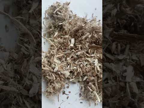 Алтей корень (1 кг) - фото 1 - id-p2371297534