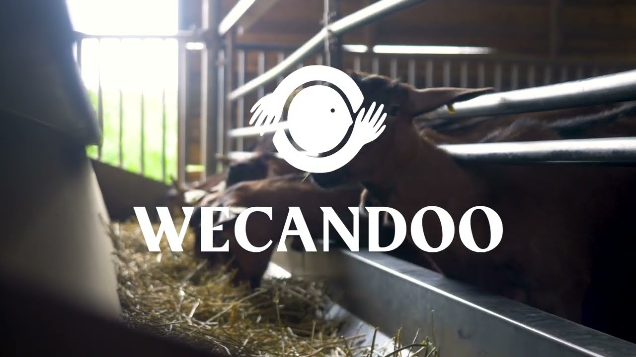 Partez à la découverte d’une ferme caprine avec Tifaine - Vidéo