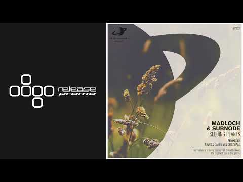 PREMIERE: Madloch & Subnode - Seeding Plants (Navar Remix) [Protoplanetary Records]