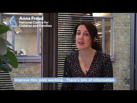 The Link Programme for mental health services