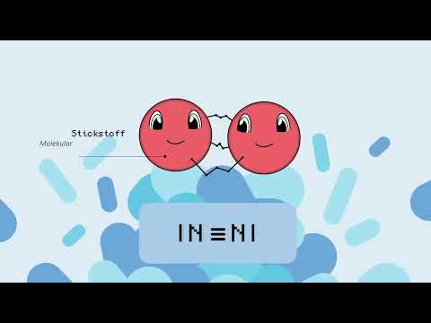 Leguminosen - des Bauers´ Glück!