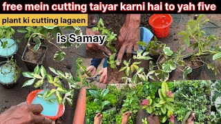 Plant ki free mein taiyar Karen cutting yah Kuchh Aasan tarike se:#gardningtips