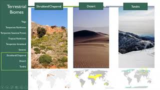 Introduction to Biomes- Climatograms
