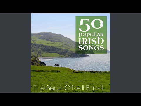 Medley: Mountain Dew / Old Reilly's Daughter / Lisdoonvarna Polka / The Liar