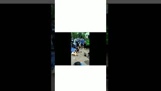 Download lagu Serempet Gudal - Ojo Ragu (versi suporter PSIS Semarang Panser Biru Pedaru's) mp3