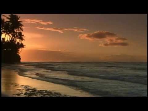 Elvis Presley - Summer Kisses, Winter Tears