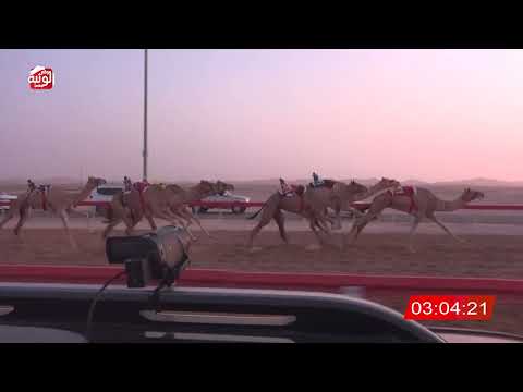  ش 6 (عوايد) لـ سليم الدحبه الحسيني العفاري 6:38:29 ، مهرجان العين 2026/07/10 إيذاع الوقن