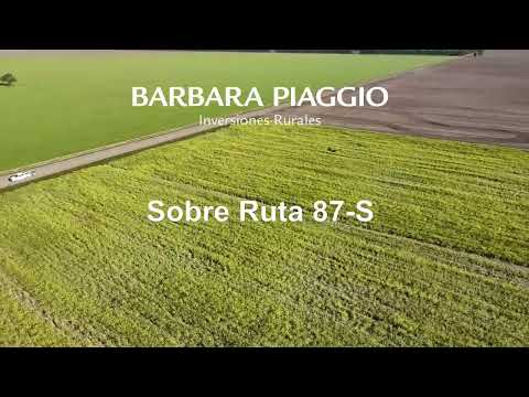 Cpo Agrícola de 47 has en El Ricardito - Berna Sta Fe