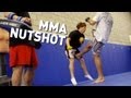 Horse Takes MMA Kick To The Nuts 
