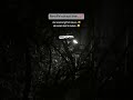 Life What S App Status Tamil Sitaraman Bgm