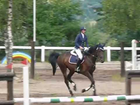 Cleo N von Chambertin x Grandeur x Pilot.MOV