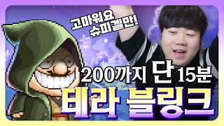 [메이플 탠서] 200렙까지 단 15분?! 테라블링크 폼 미쳐따!