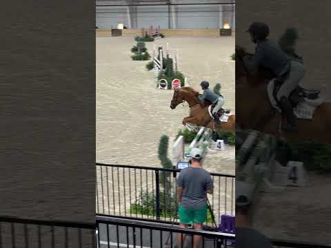 Gold Link video 3
