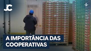 Miniatura do vídeo