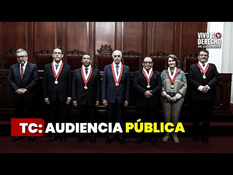 Audiencia Pública del Tribunal Constitucional (17 de Noviembre 2025)