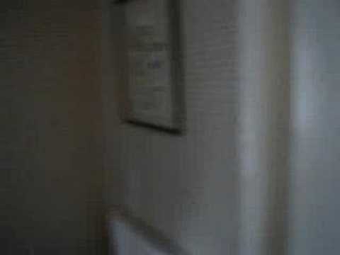 Dog is Toilet Trained