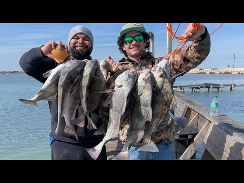 YouTube Black Drum Pier Tips