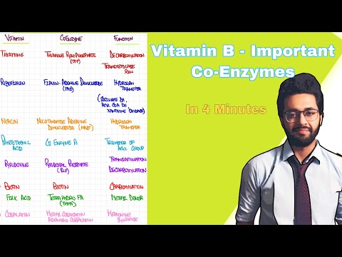 Vitamin B- Co Enzymes and associated reactions - High Yield Biochemistry