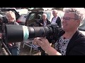 Dieren op de Veluwe worden gelokt met fruit voor het perfecte plaatje - Onze Veluwe