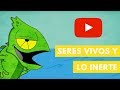 Seres Vivos Y Lo Inerte Camaleón