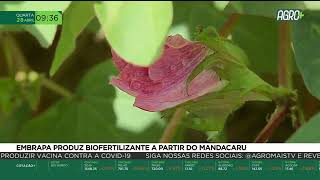 Miniatura do vídeo