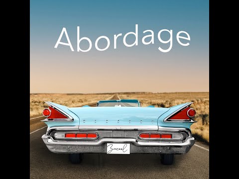 ZEECOOL - Abordage (Абордаж)