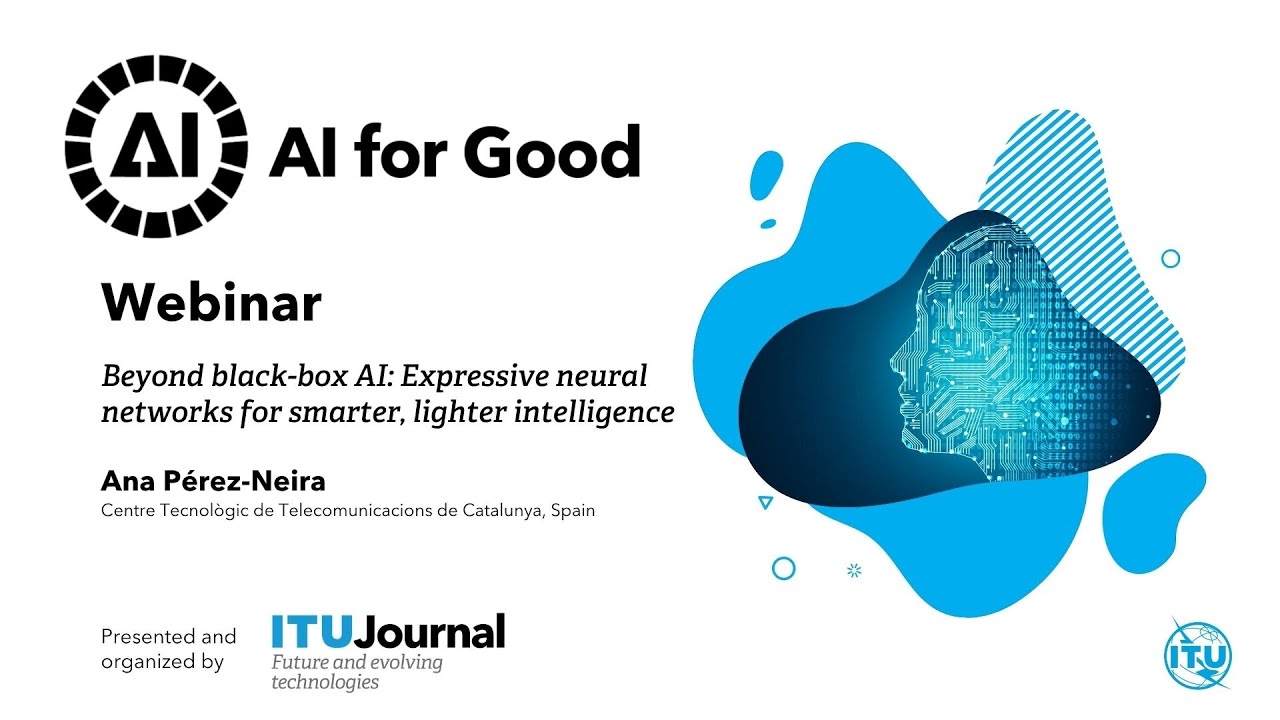 Beyond black-box AI: Expressive neural networks for smarter, lighter intelligence