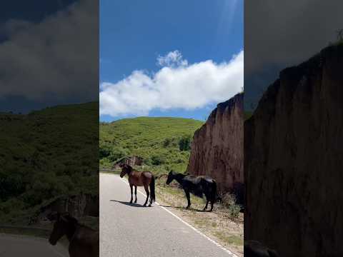 🏔️🚗De Singuil a Andalgalá: El placer de reencontrarnos con la Ruta Provincial N° 1 🗺️
