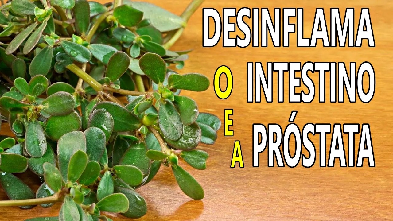 Desinflama o Intestino, na Próstata, Caroços, Colites, Endometriose 💖 MARILENE SARAH FIALHO