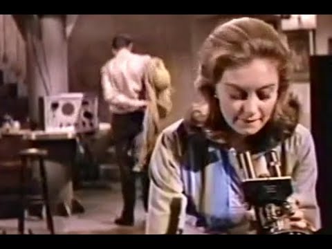 The Day of the Triffids