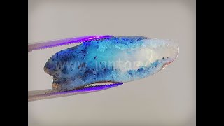 Okno do baltského jantaru PO-47