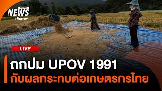 ถกปม UPOV 1991 หากไทยเข้าร่วม จะกระทบการเก็บเมล็ดพันธุ์พืชอย่างไร | ไลฟ์วันนี้ | 24 ก.ย. 69