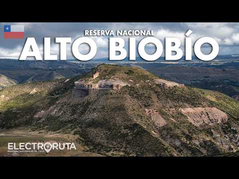 El Secreto mejor guardado de la Araucania | Alto Biobío | Reservas Nacionales de Chile 18/45