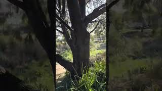 ECE 3006 Assessment 1 Digital presentation